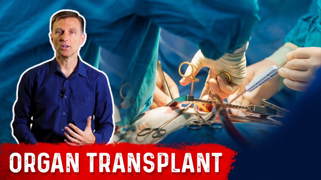 Four Natural Remedies for Organ Transplant