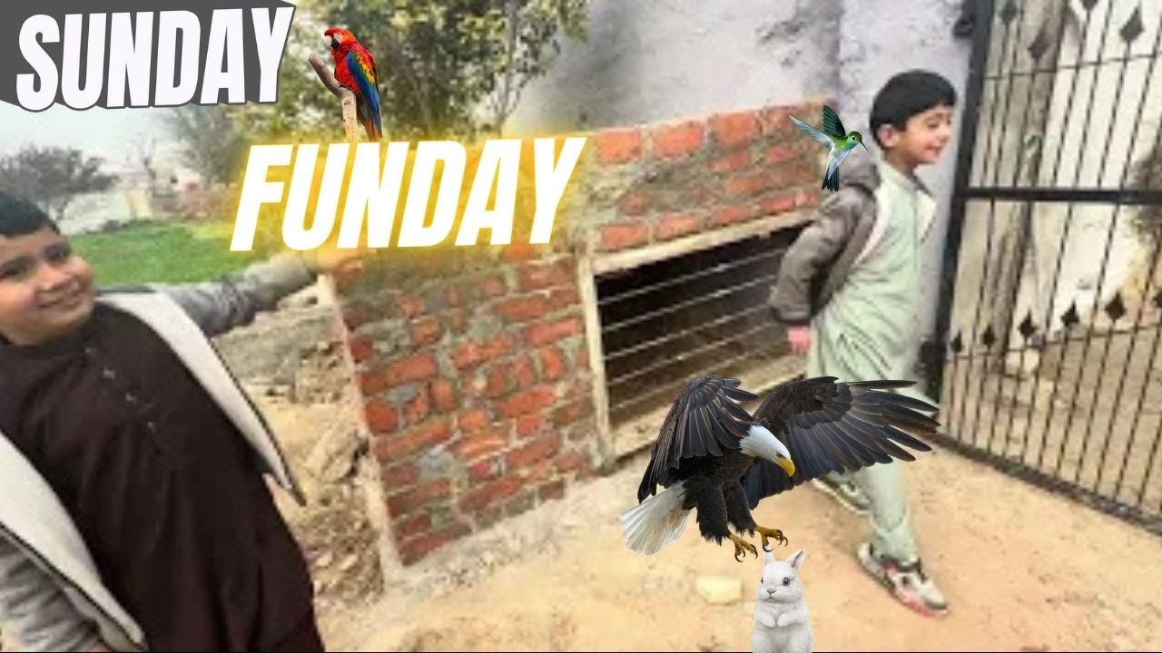 Is Bird's Care with Kids the MOST CHAOTIC Thing You've Ever Seen?