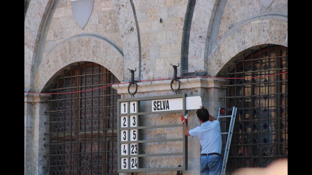 1-1-Selva