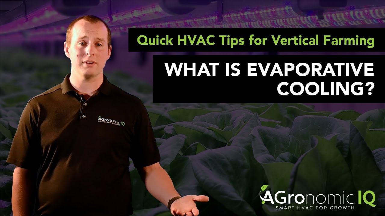 Quick HVAC Tips for Vertical Farming  - What is Evaporative Cooling (Episode 3)