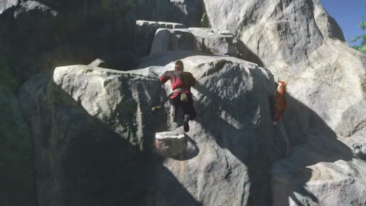 Terrier de renard (herbage d'Houren)