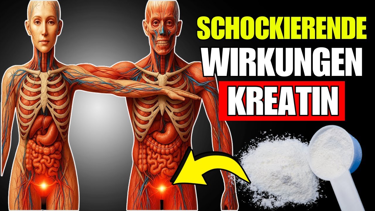 10 REAKTIONEN DEINES KÖRPERS BEI 5 GRAMM KREATIN PRO TAG
