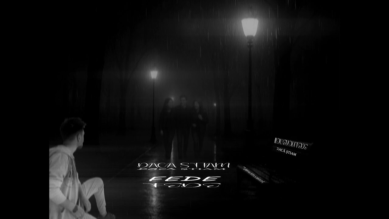 Fede-Dacă Știam(Official Artwork)