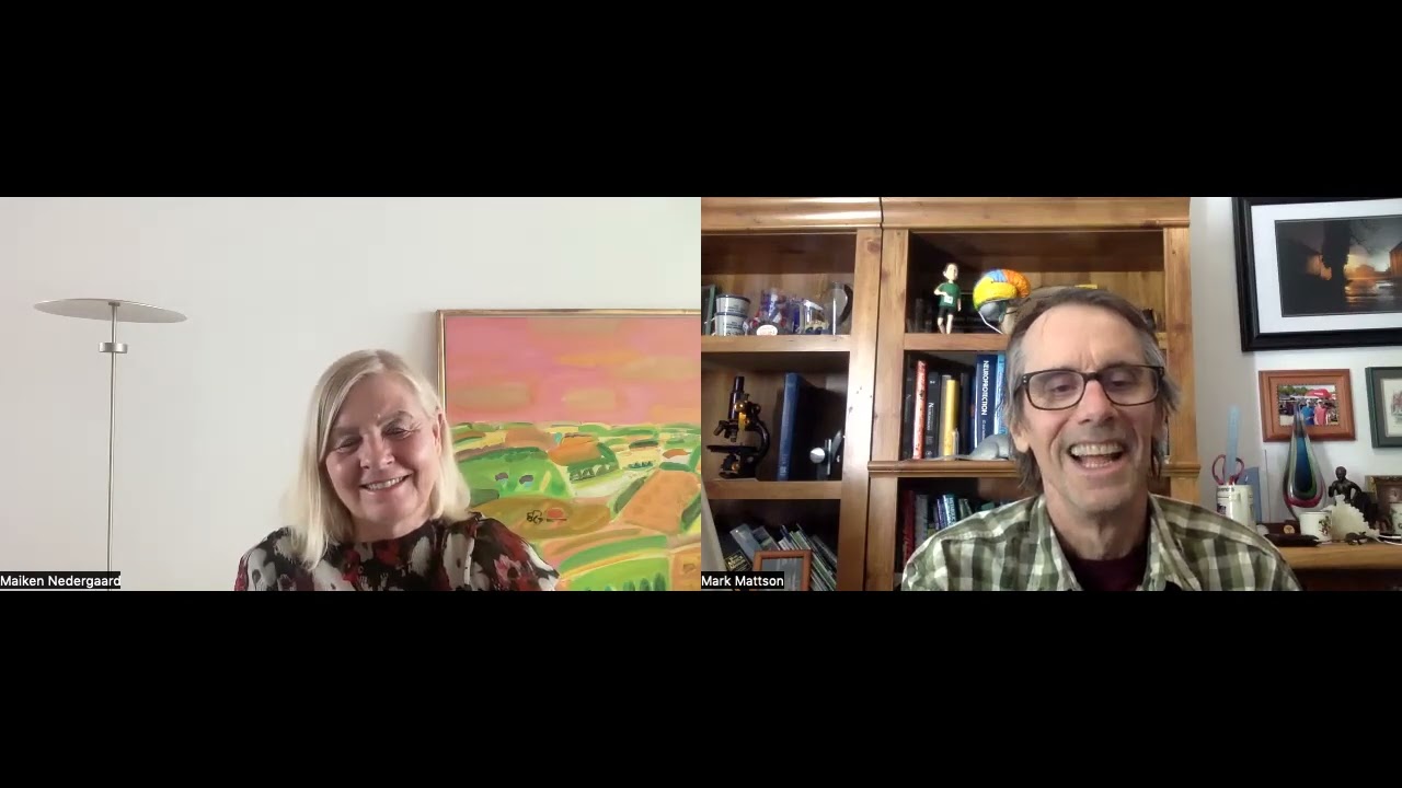 Pondering Astrocytes and the Brain’s Plumbing with Maiken Nedergaard