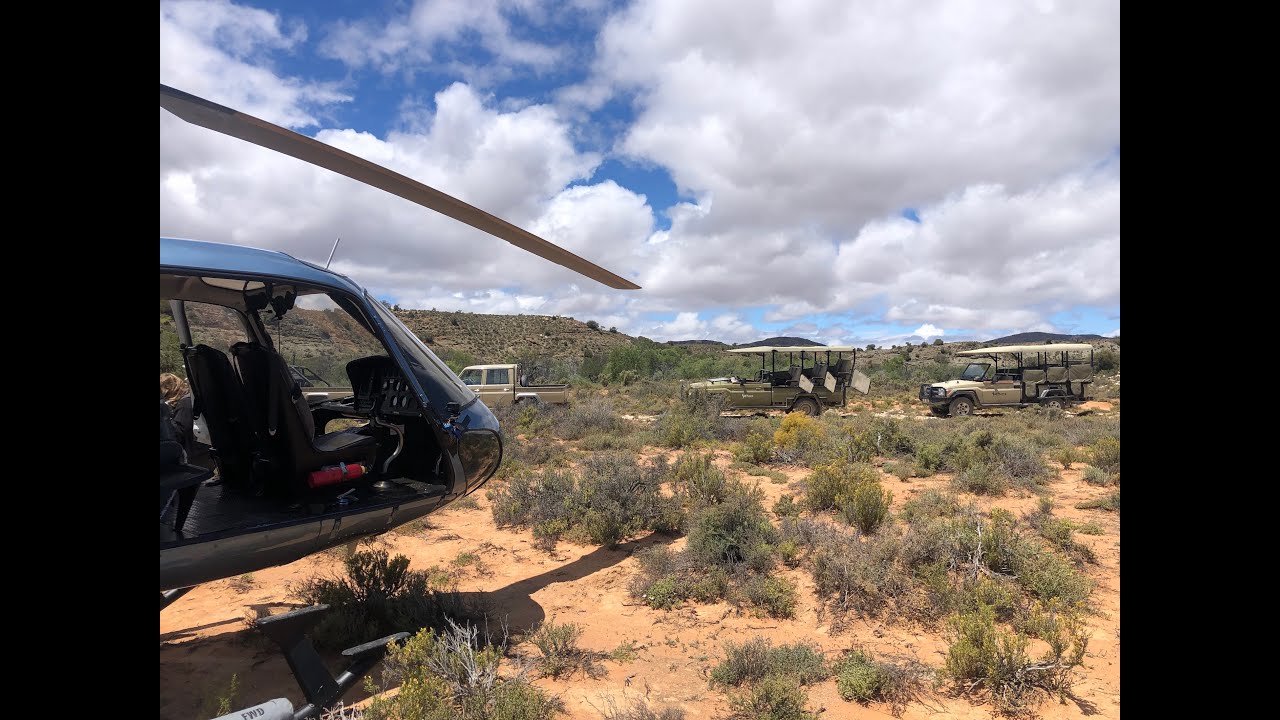 HELICOPTER ELEPHANT DARTING SANBONA