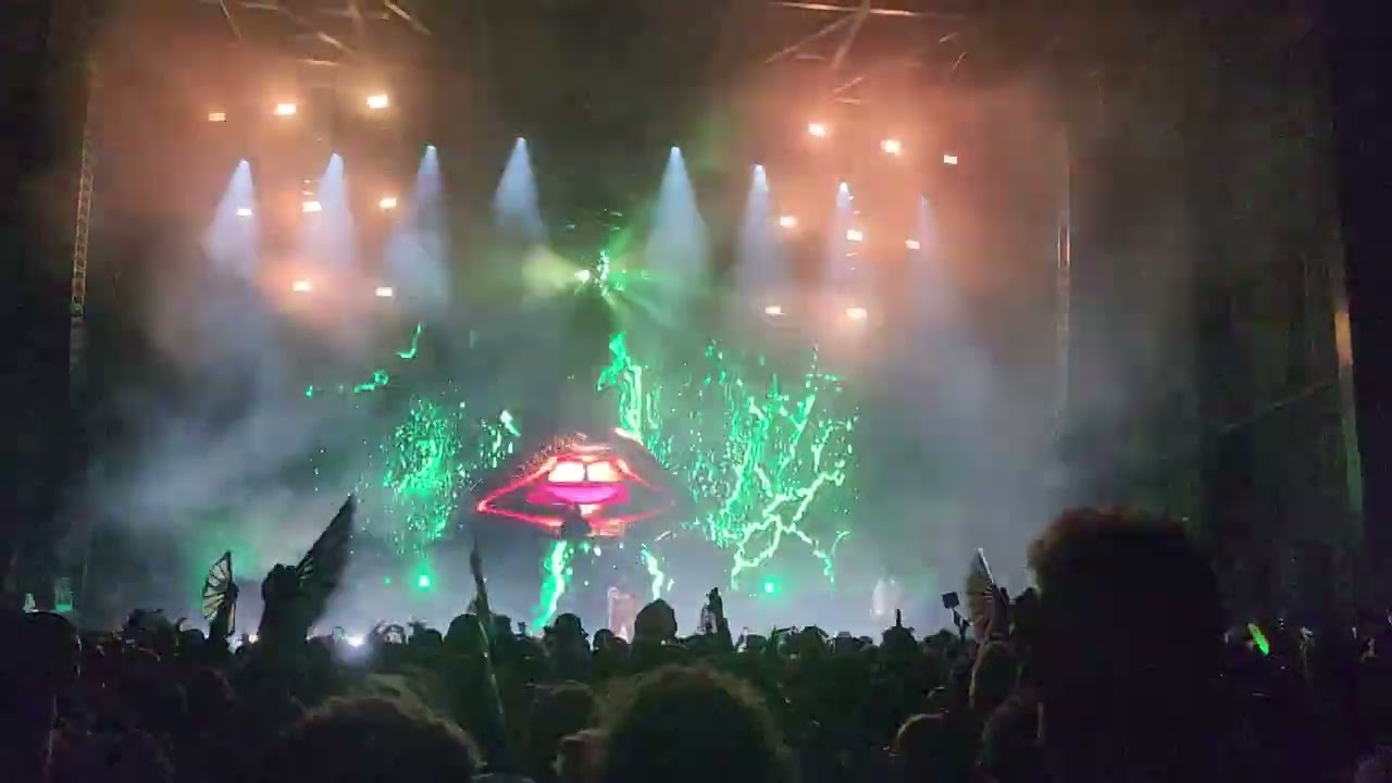 Grizmas in July 2023 Night 2