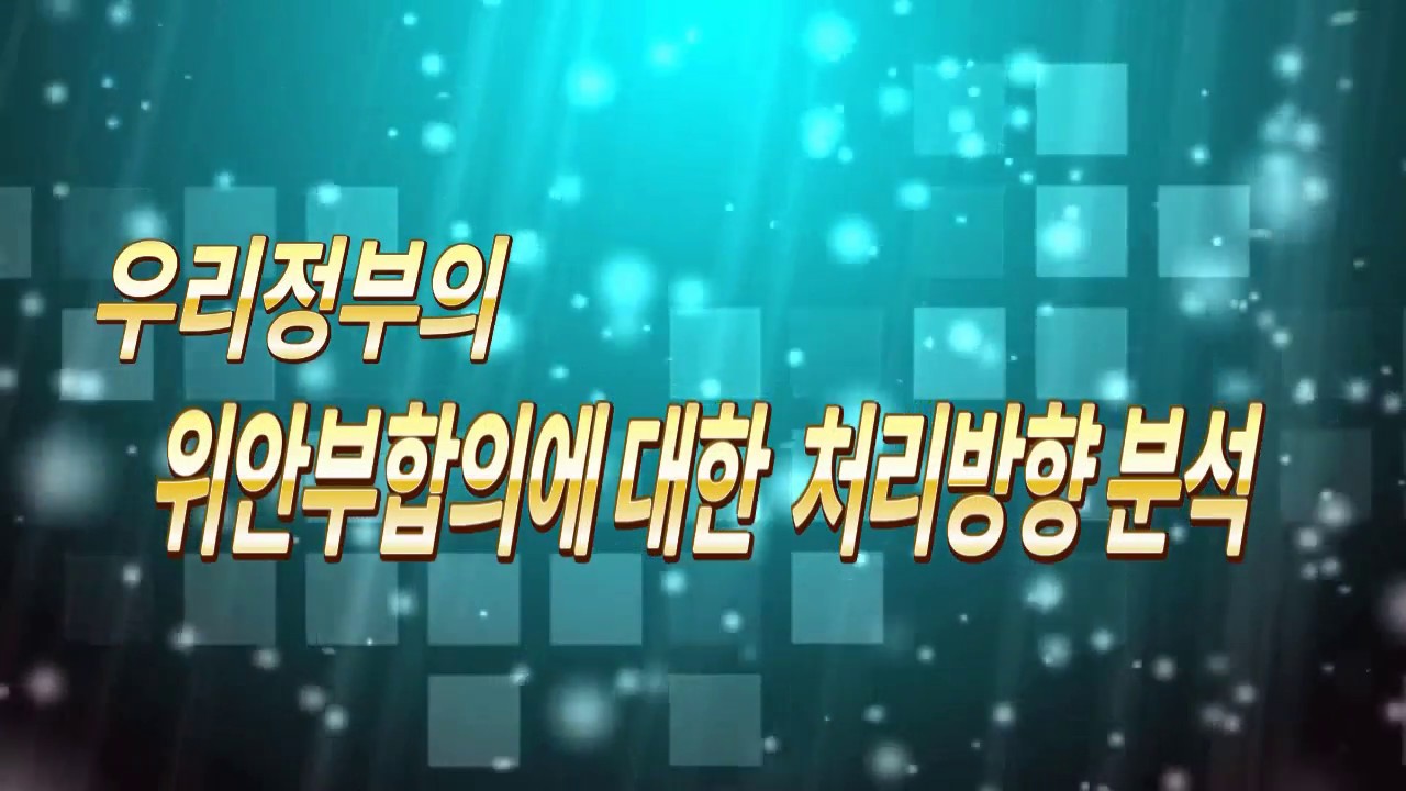 [세종영상브리핑 2018-04] 우리정부의 위안부 합의 분석(18.01.23)