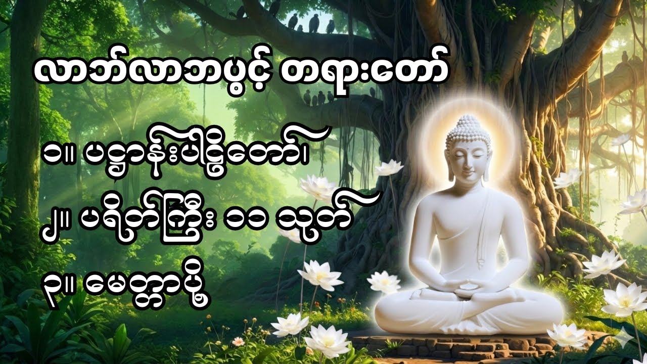 ပဋ္ဌာန်းပါဠိတော်၊ပရိတ်ကြီး ၁၁ သုတ် နှင့် မေတ္တာပို့ #buddha #တရားတော်များ #တရားတော်
