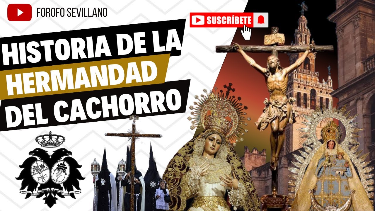 ¡¡¡HISTORIA DE LA HERMANDAD DEL CACHORRO!!!¿CONOCES LAS LEYENDA QUE HAY TRAS ESTA IMAGEN?