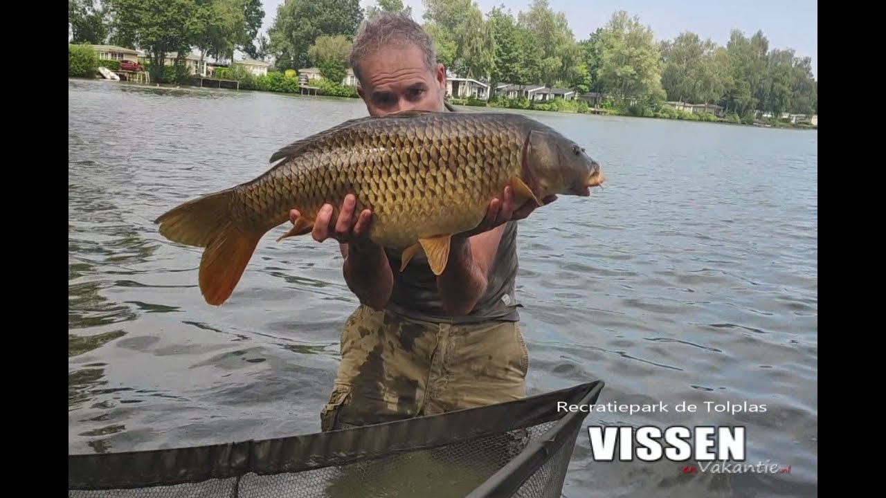 Karpervissen op recreatiepark de Tolplas