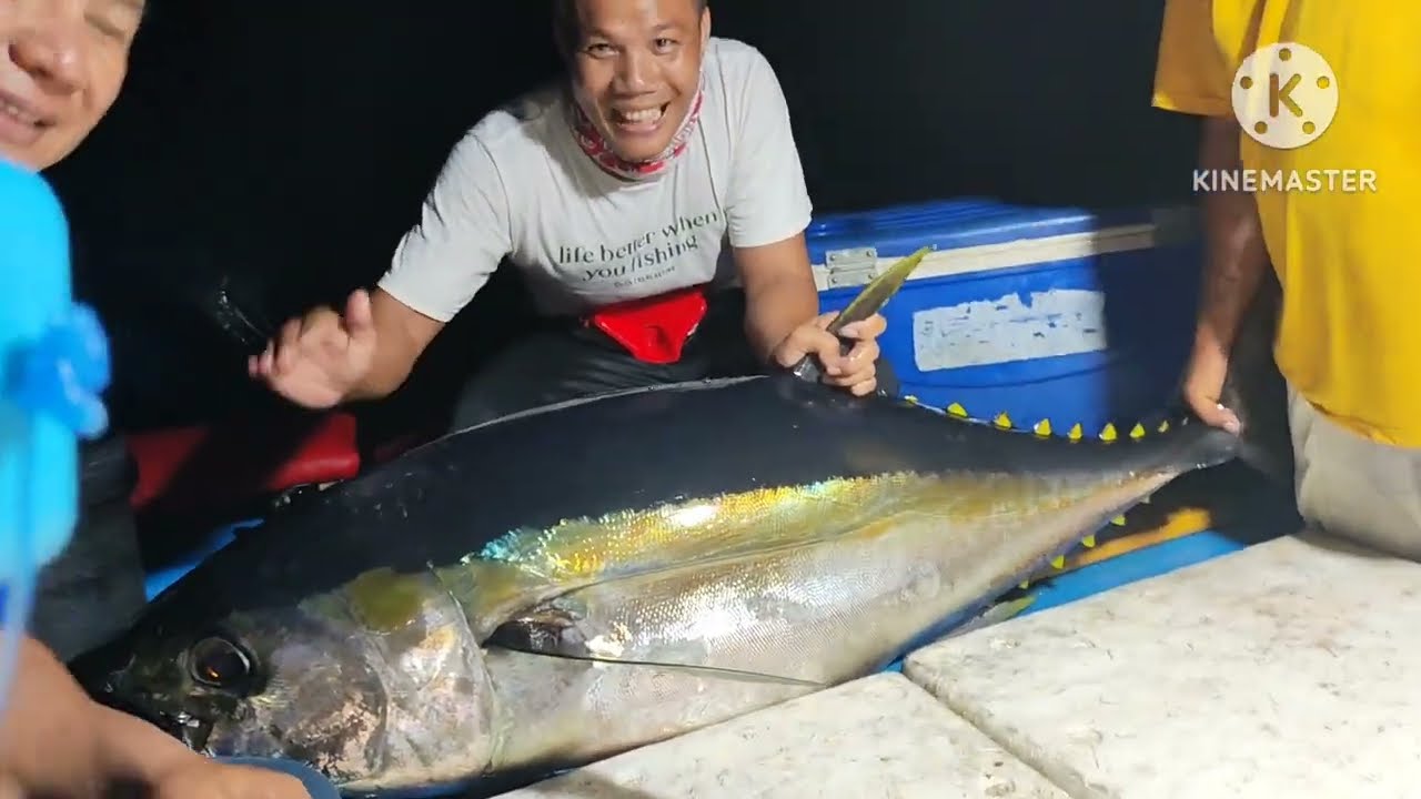 MONSTER TUNA BIG EYE|| HR SJ III RX TOKAYO POWER 3|| PUMP LIKE A MAN