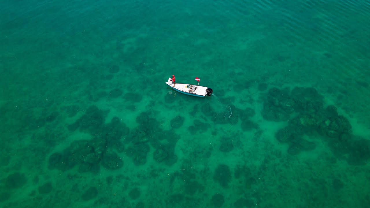 Finding Spots With Side Scan | Shallow Diving | Bonus Critter