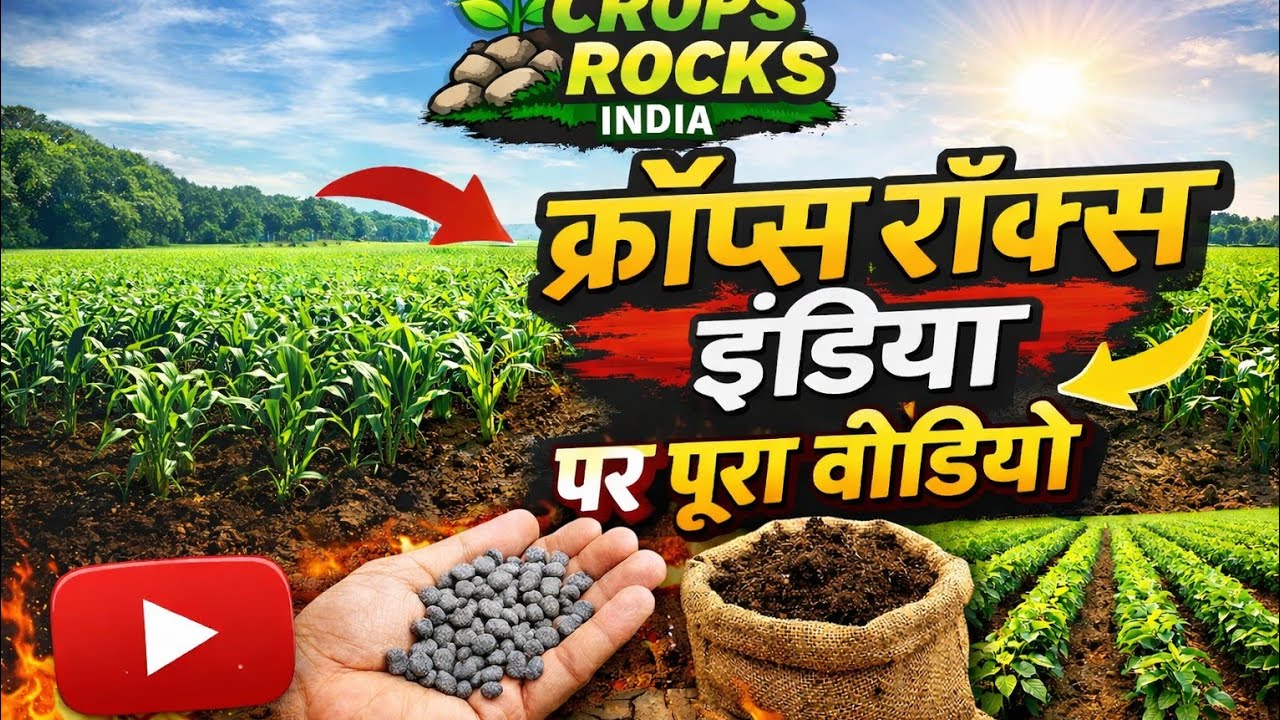Learn about main crops of India in a easy way🌾🪴#study#boardexam#students 