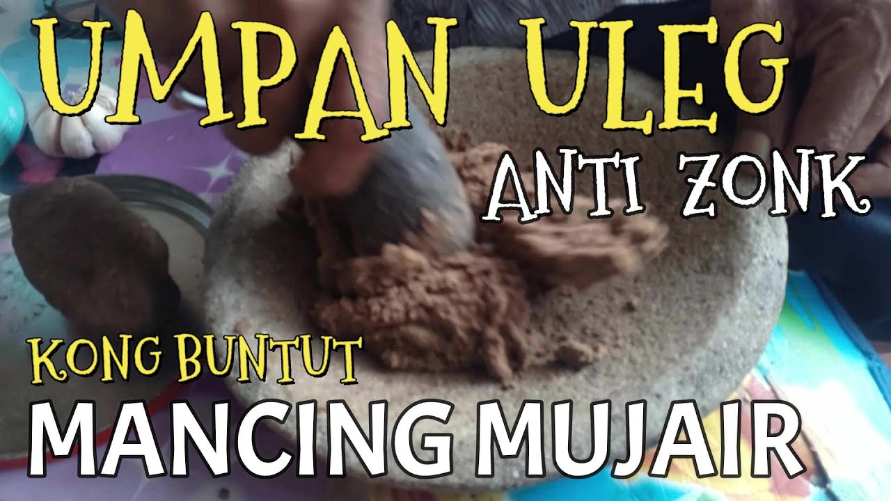 Umpan Uleg ikan Nila, Tawes, Mujair, Melem, Lele, Gurame Anti Zonk ala Kong Buntut