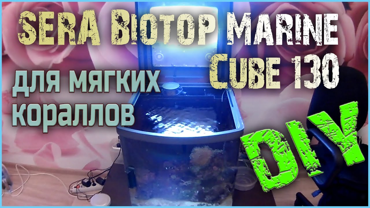 Sera Biotop Marine Cube 130. lighting for soft reef tank