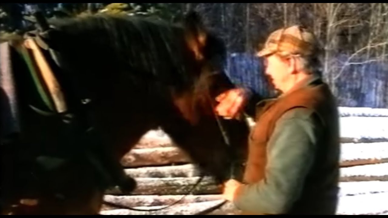 Hästen min arbetskamrat 1995