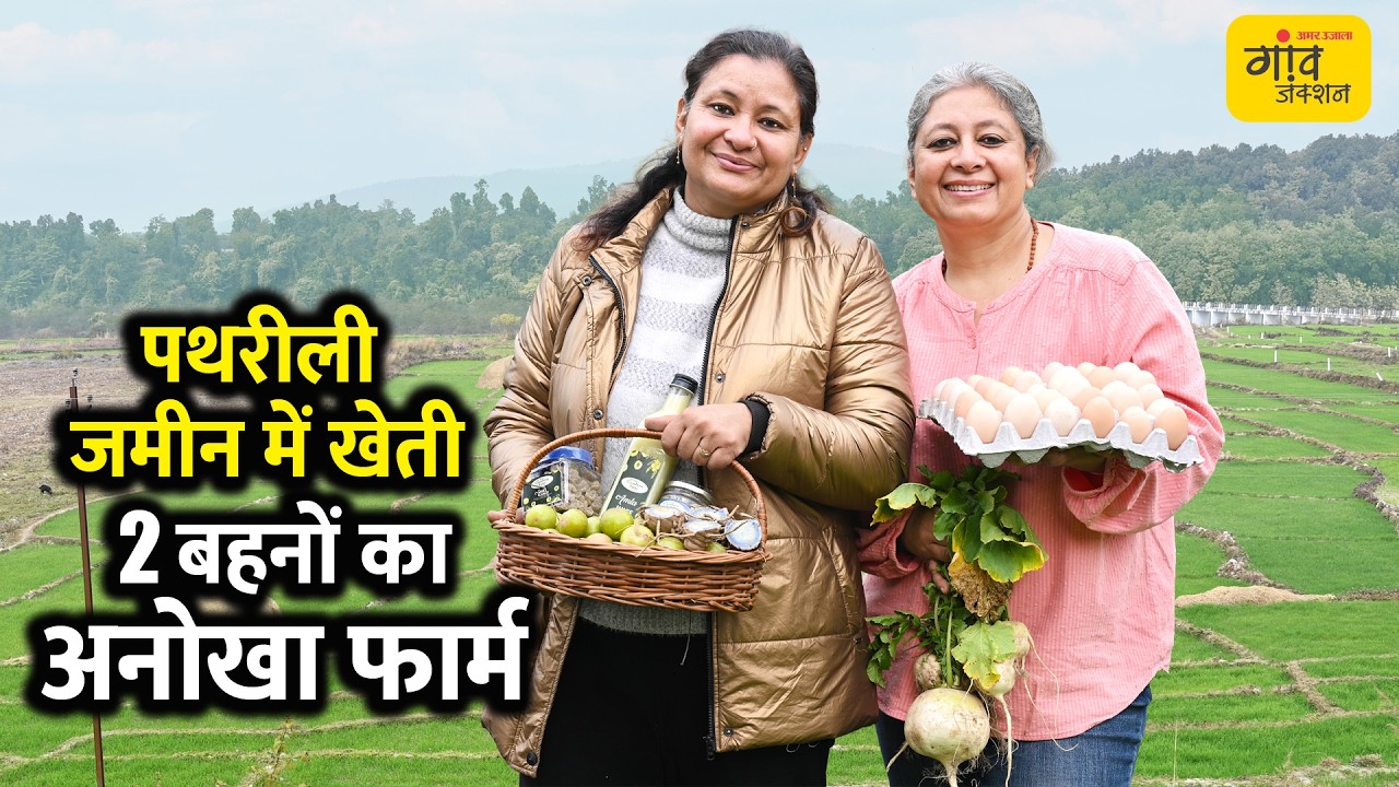 बंजर जमीन से ₹20 लाख सालाना! दो बहनों ने खड़ा किया खेती का मल्टी इनकम मॉडल