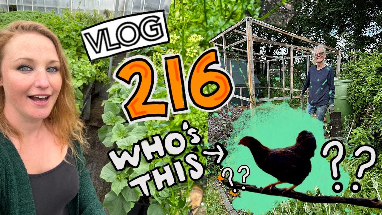 Surprise new member of the clan! Plus Foxes, Sweetpeas and Floor Progress!! Ep216 || Plot 37