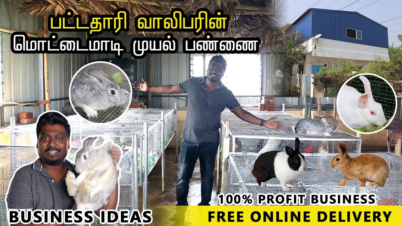 பட்டதாரி வாலிபரின் மொட்டைமாடி முயல் பண்ணை | Rabbit Farm in Chennai | Online Delivery | Video Shop