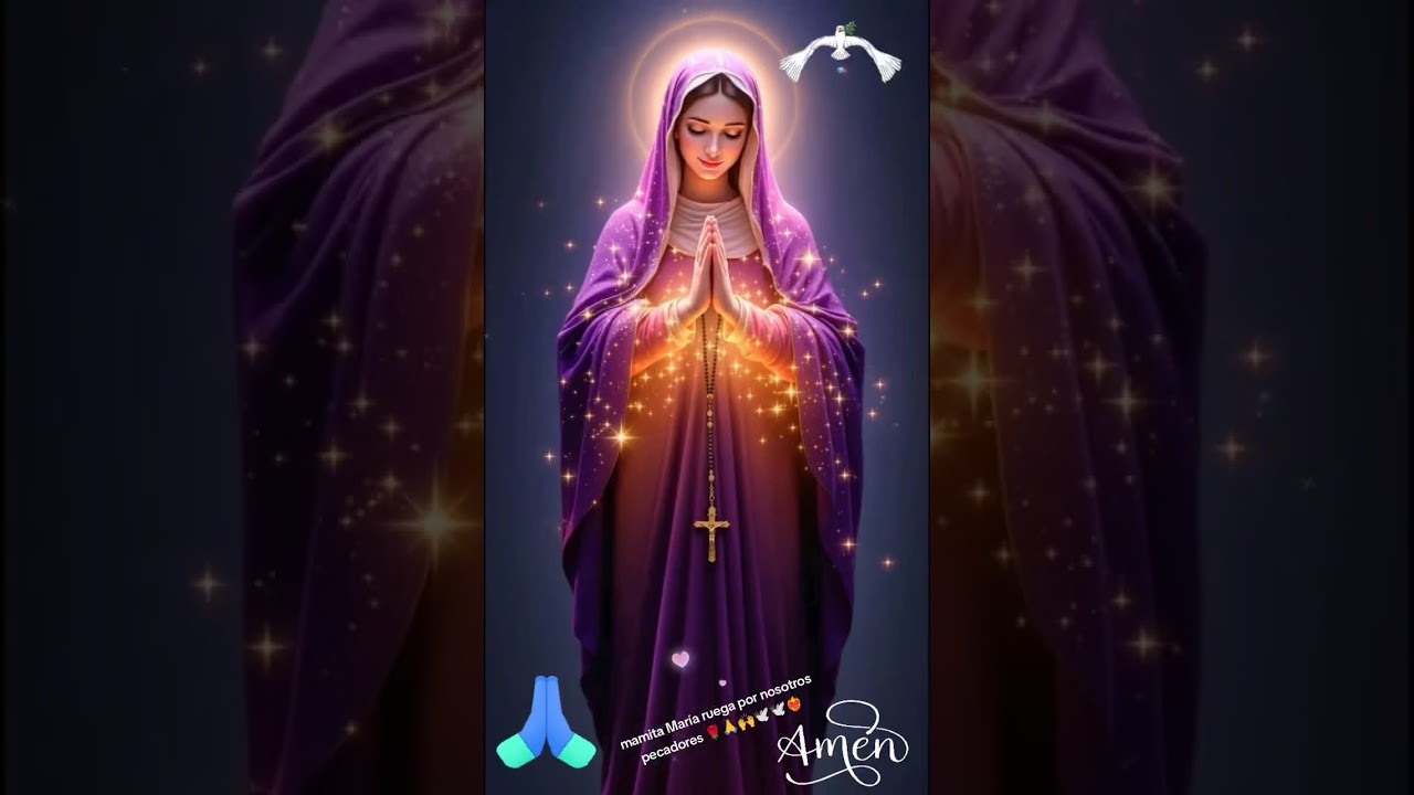 alabanzas a mamita Mar&iacute;a 🌹🕊️🙌❤️&zwj;🔥#catolicoscristianos #santavirgen #virgen #virgemaria #vrigen#fyp