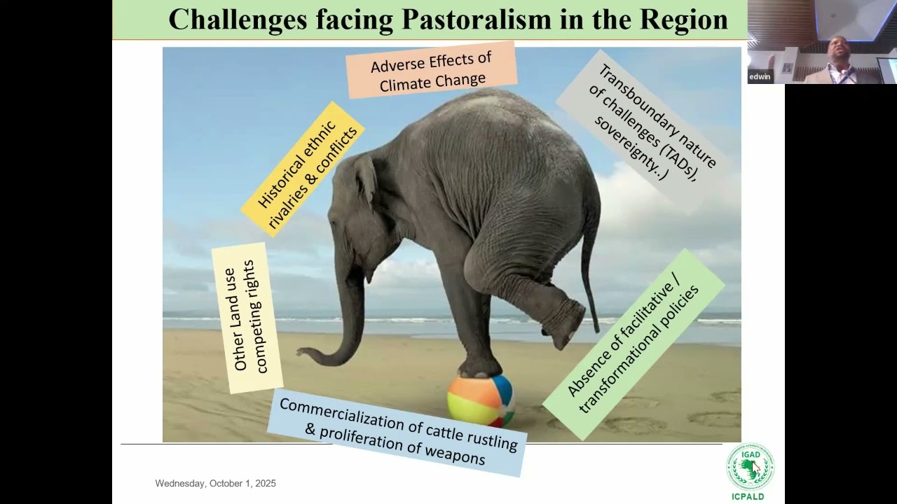 Maintaining pastoralist mobility in a context of tenure insecurity, land use change and conflict