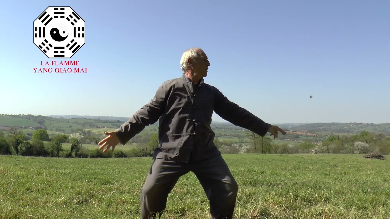 YANG QIAO MAI -  Qi Gong des merveilleux vaisseaux - Ba duan jin - 八段錦 - par Lou Yan