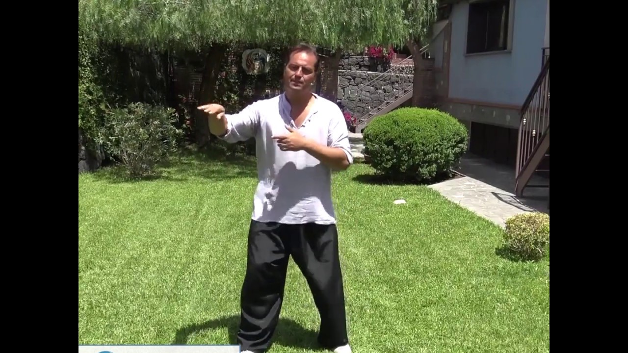 Tai Chi Fajin ~ La Forza a Spirale. Lezione gratuita M° Gianfranco Pace - Tai Chi Online.it