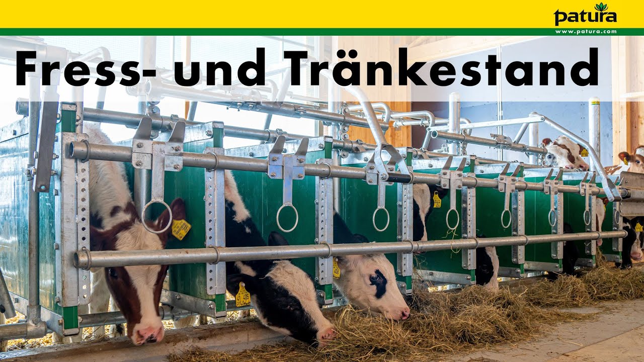 PATURA Fress- und Tränkestand für Kälber