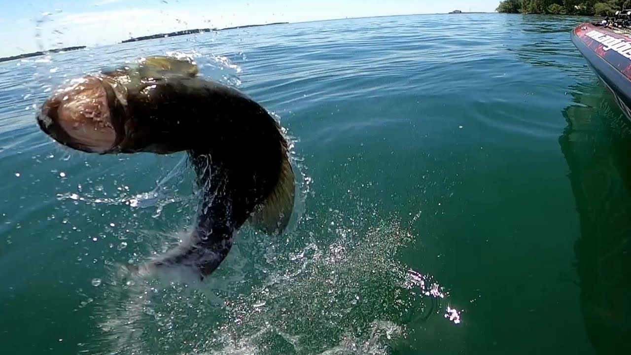 Lake Erie Summer Smallmouth Bass Fishing: Bass Islands