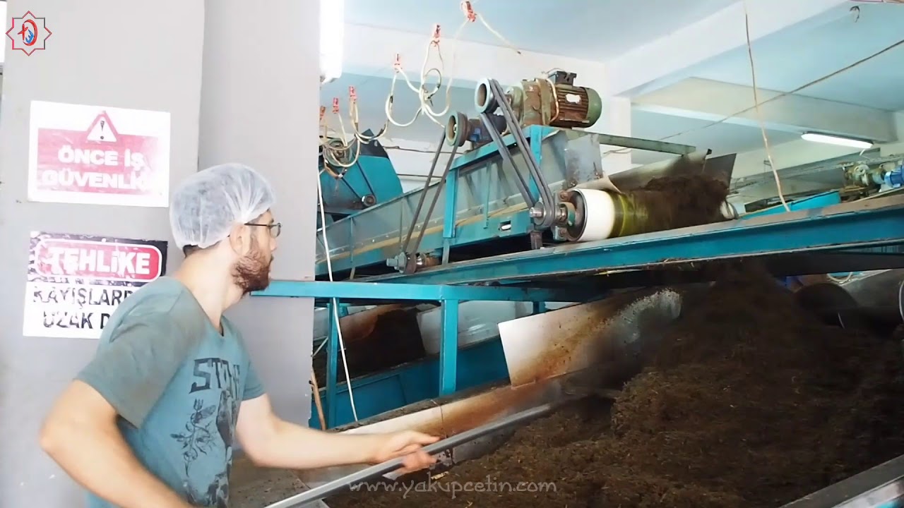 Karadeniz'de Çayın Çay olarak serüvenini görüntüledik.
