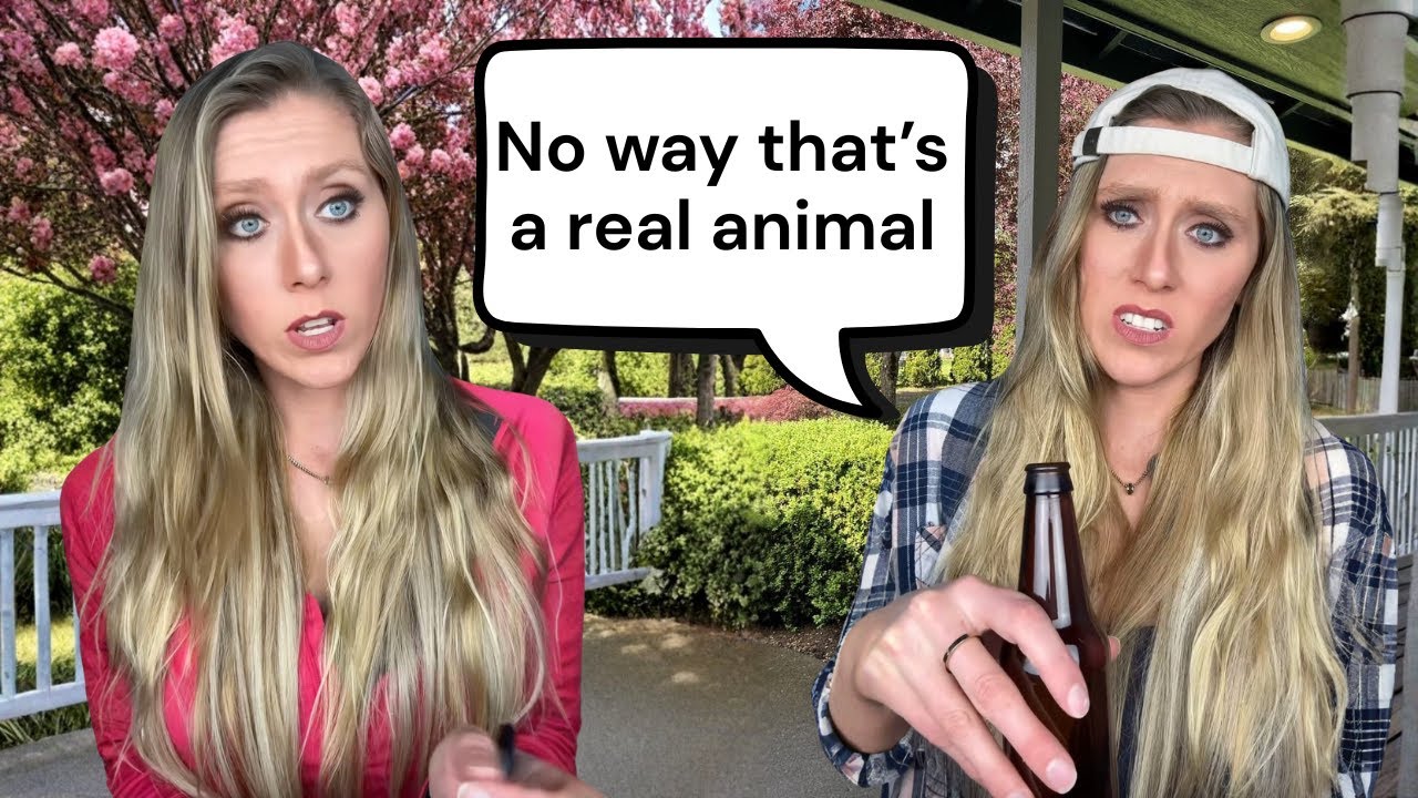 Describing chicken to a farmer who has never seen one.
