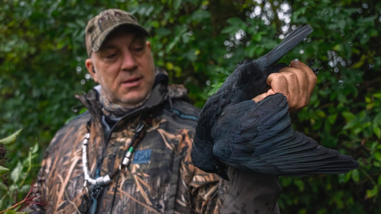Crow Hunting Sweden | S2E7 | The Last Pass By Final Approach  (Varisjahtia Ruotsissa)
