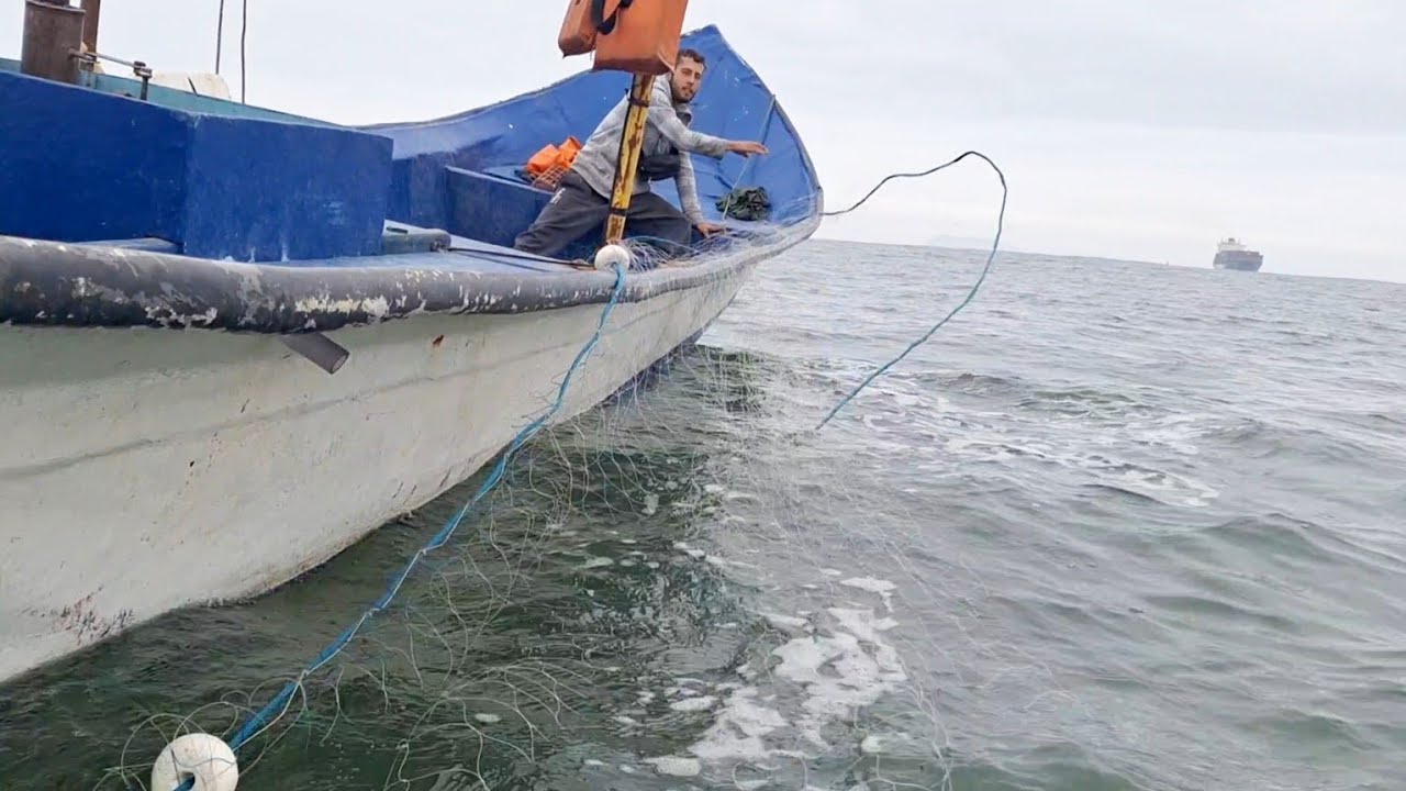 Pesca em Alto Mar 2: Encontro Incrível com Gigantes do Mar!