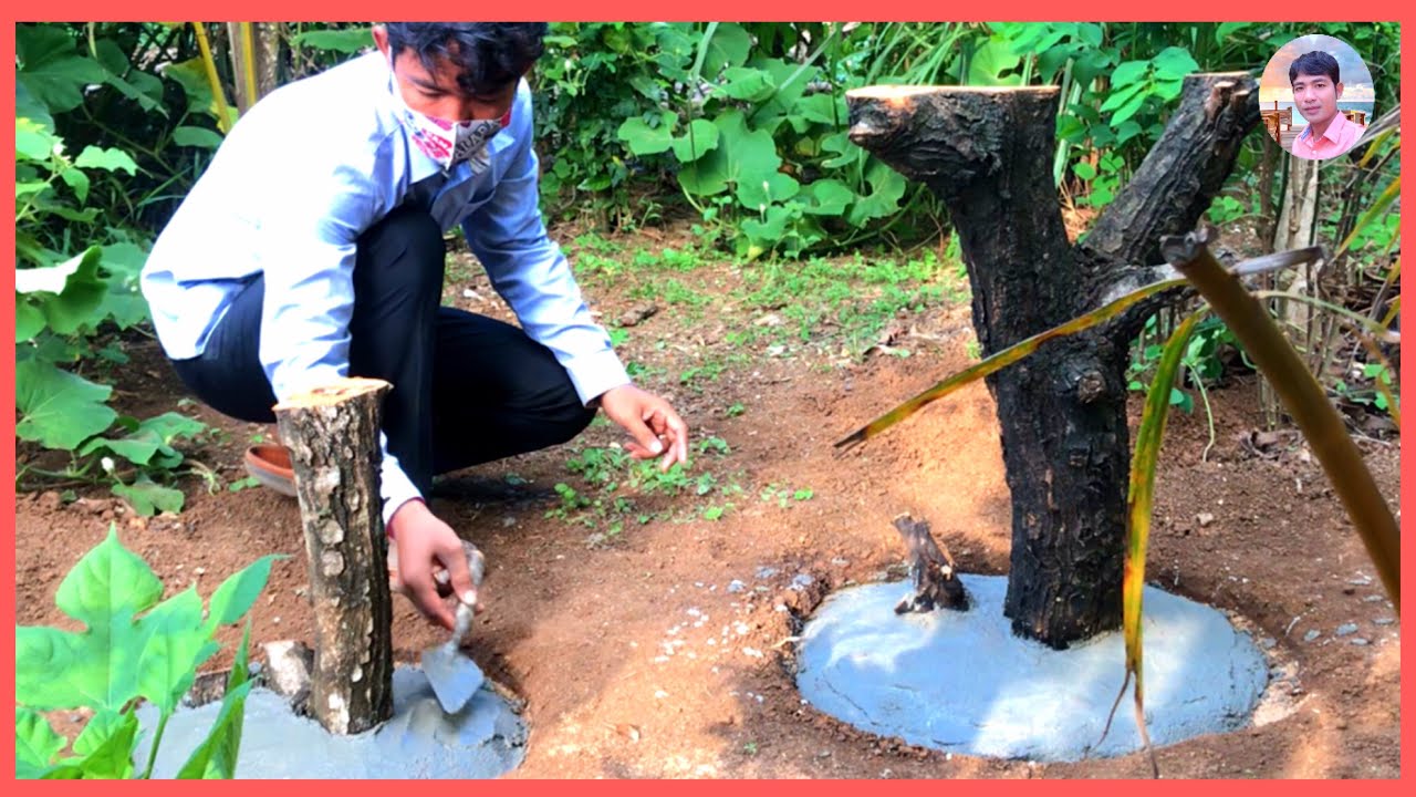 Easy Way To Make a Natural coffee table - DIY Cement with Tree