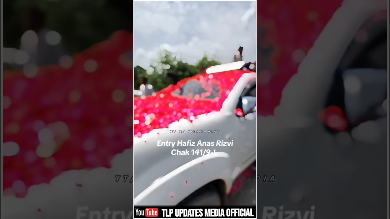 Entry Hafiz Anas Rizvi 😎 | Hafiz Anas Hussain Rizvi Status | Tlp Status #shortvideo #viral #tlp