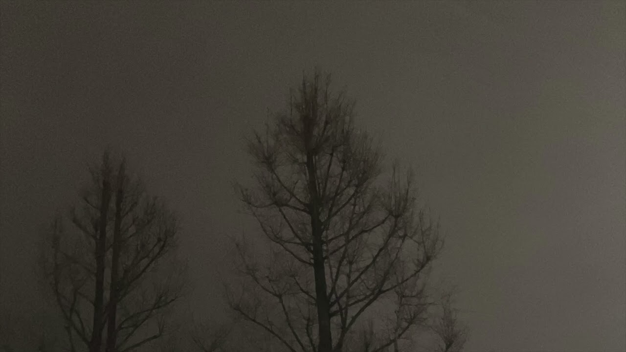 silent prayer in true night - bird in north river