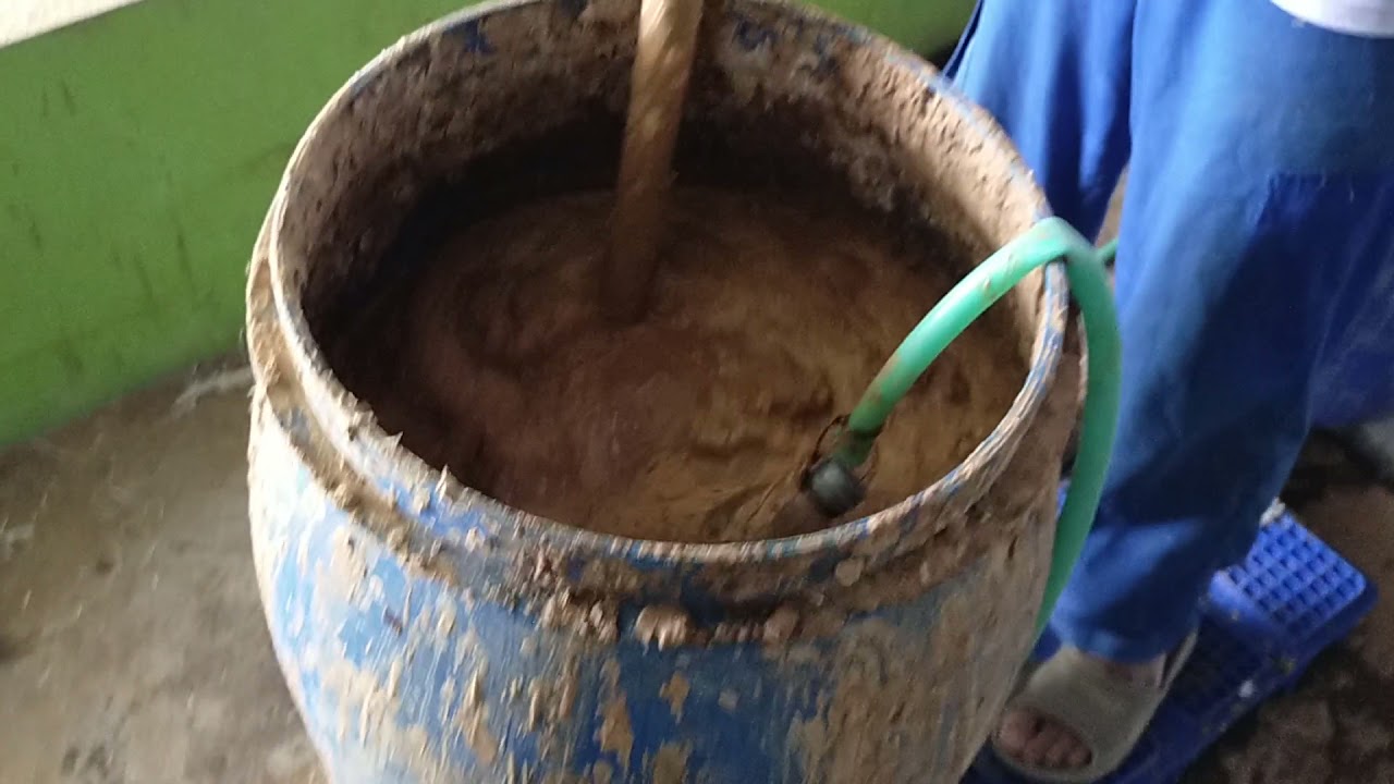 Cara pemberian pakan maggot yang efektif