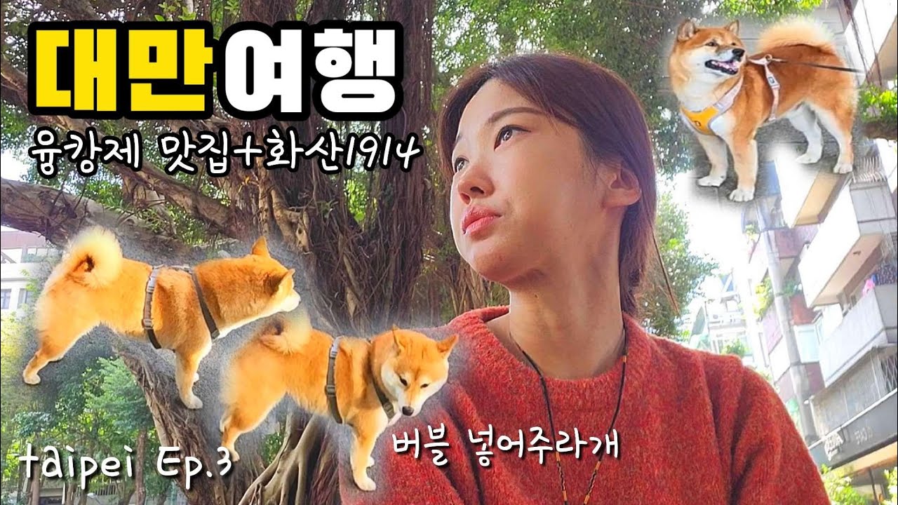 대만여행 핫플 화산1914, 융캉제 맛집 뿌시기(총좌빙, 미미크래커, 스무시 망고빙수)
