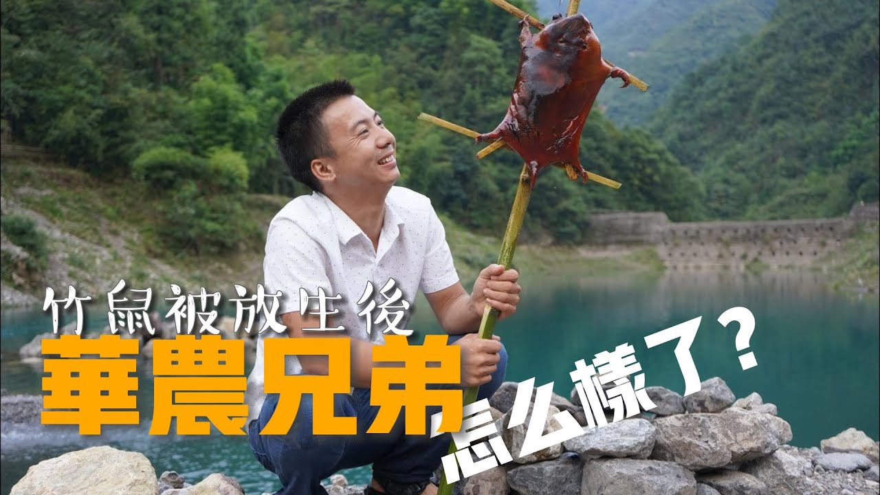 放生竹鼠後的華農兄弟：承包全村土地 一年賣出380多萬斤橙子｜在人間
