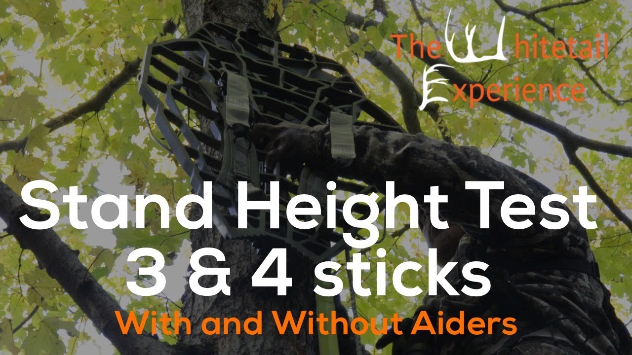 Тест на высоту стояния на 3 и 4 палках с помощью вспомогательных средств и без них