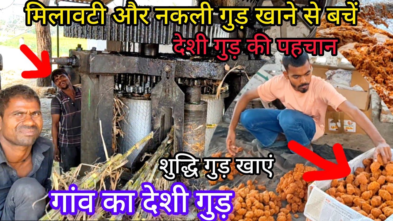 14 March 2026 गांव का देशी गुड़ मिलावट और नकली गुड़ खाने से बचें 