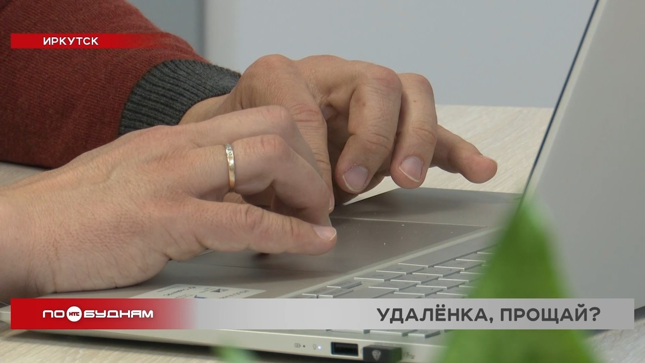 Удалёнка в Иркутске под угрозой: 62% работодателей готовы вернуть сотрудников в офисы