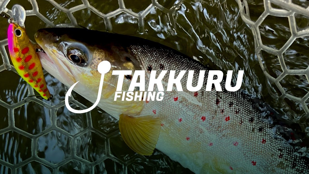 Austria Fishing Adventure - Warme Fischa (Palms & Tiemco Combo)