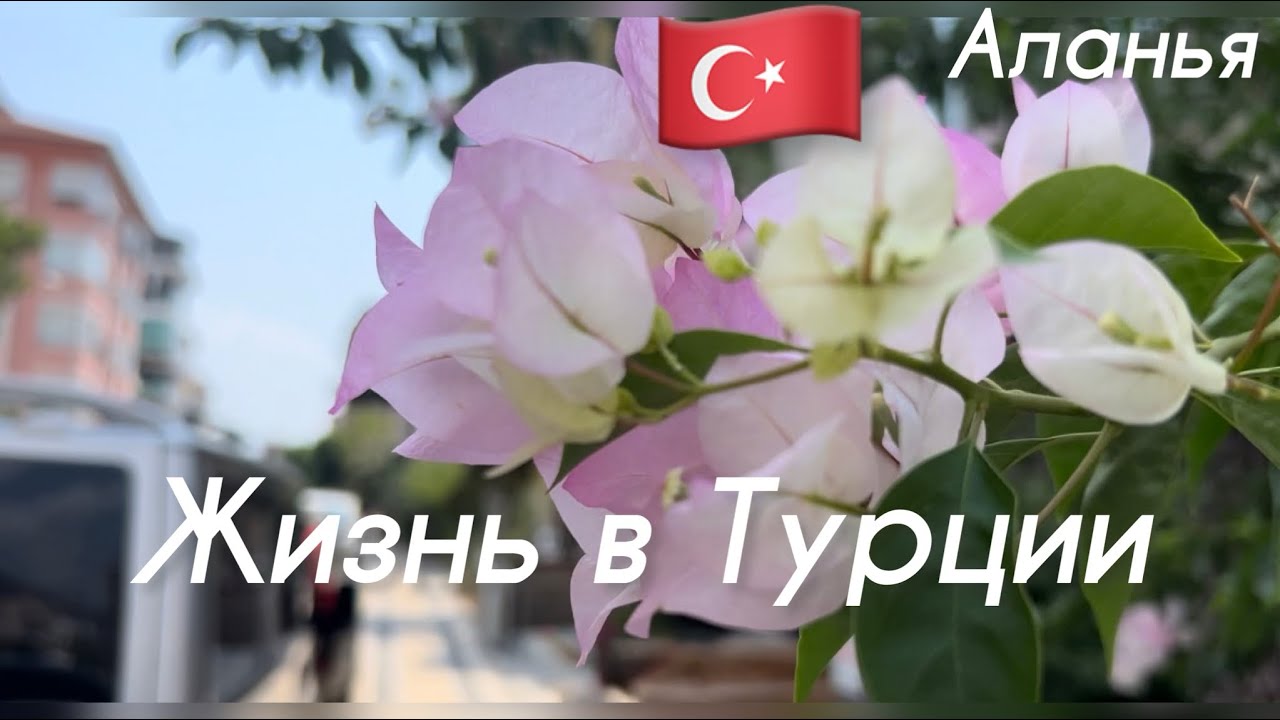 🇹🇷Аланья. Не самый лучший день приходил вчера.