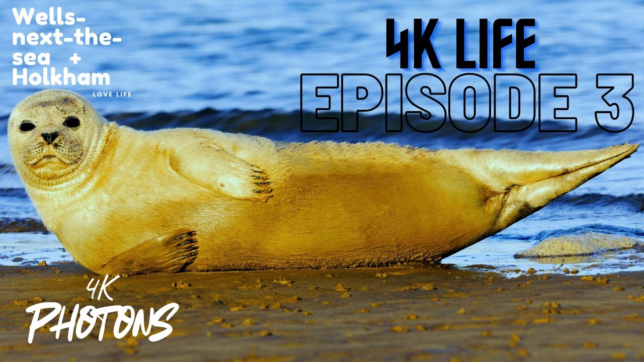 Life 4k episode 3.... Wells-next-the-sea and Holkham hall....