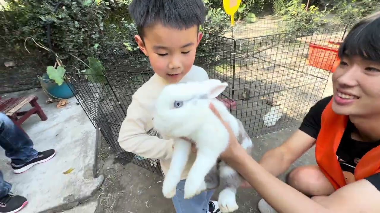 潮州-不一樣鱷魚生態農場