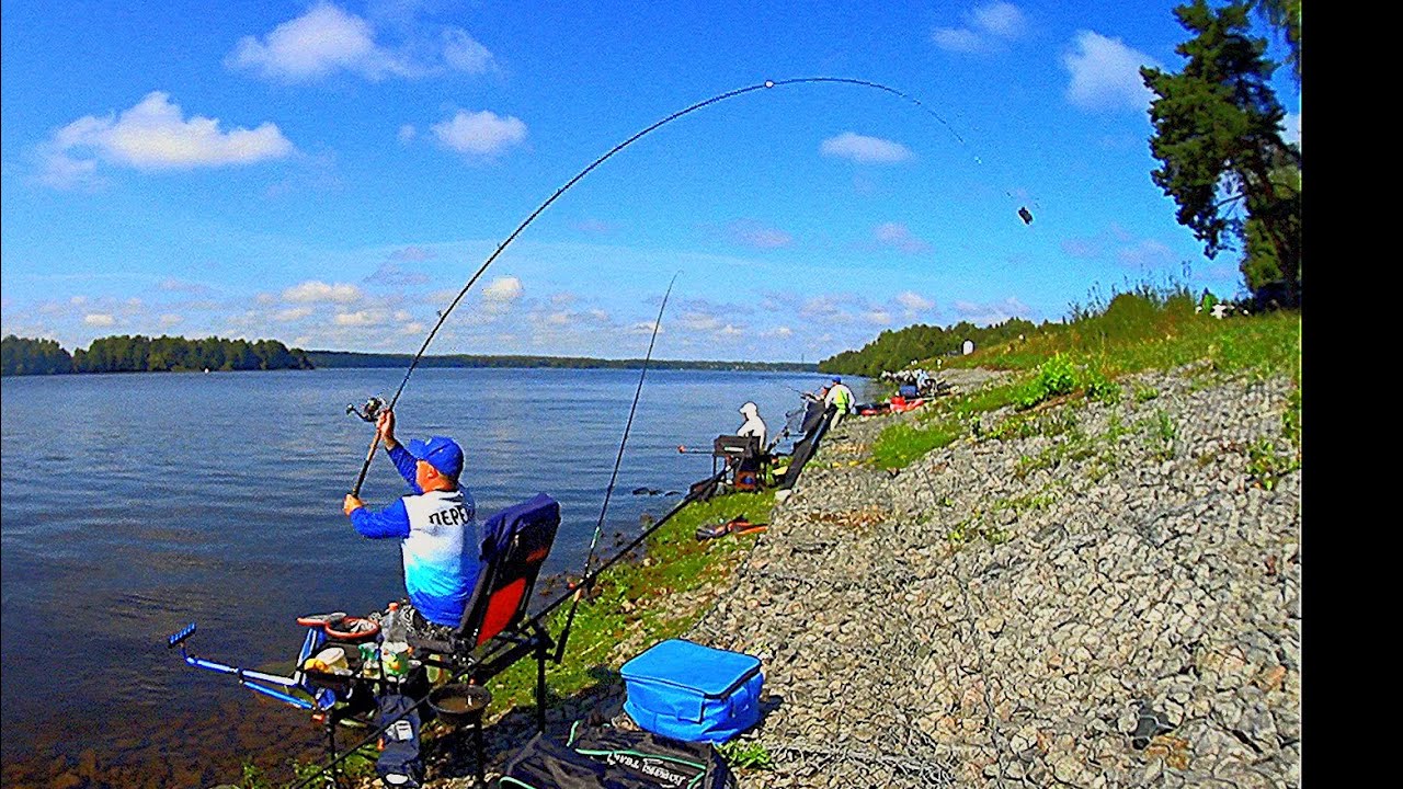 Фидерная рыбалка в Калязине чемпионат Тверской области по ловле донной снастью!