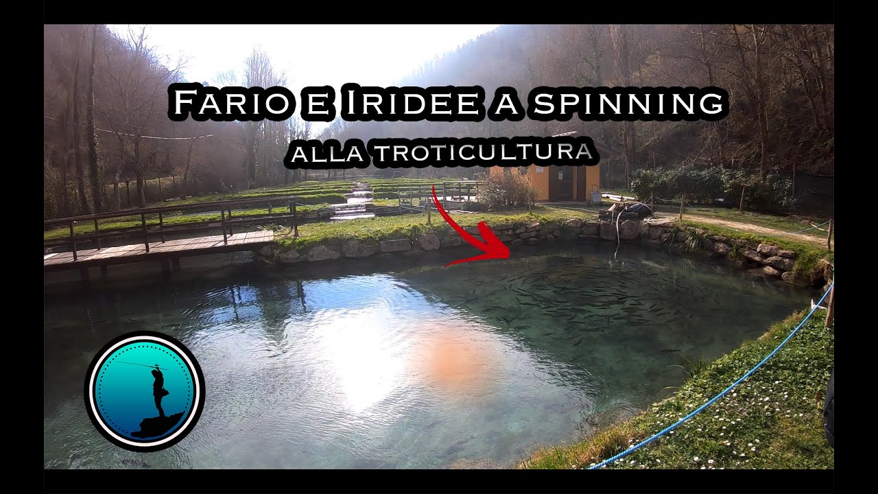 TROTE a SPINNING ,  FARIO e IRIDEE alla troticultura pedica 