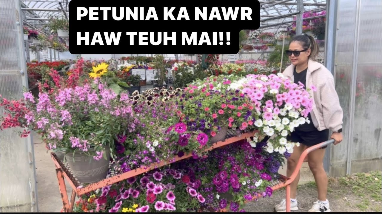 PANGPAR LAM BIAHTHU || KA MI SA VE VAK LO MAITHEI