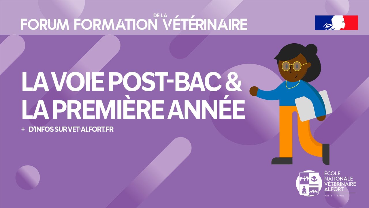 FFVET24  La voie post-bac & la première année